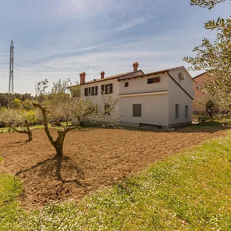 Zdravka * Capodistria